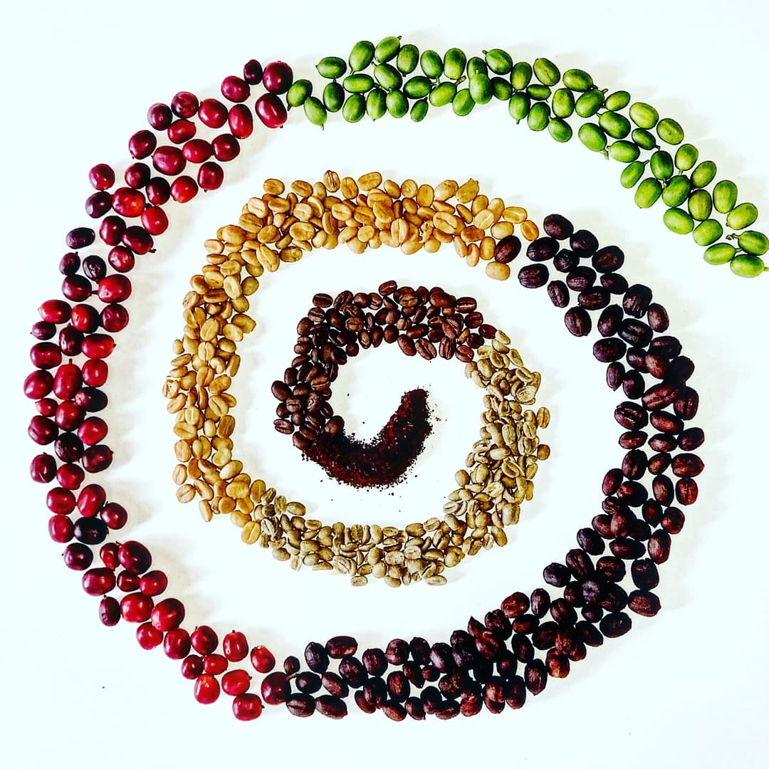 Ecuadorian specialty coffee beans